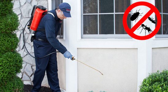 Olur Hamam Böceği İlaçlama böcek ilaçlama ve haşere kontrolü — ilaclama-tr.com